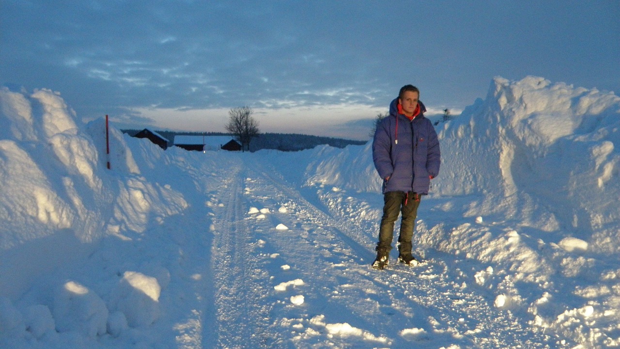 Photo of Others in Jonaker