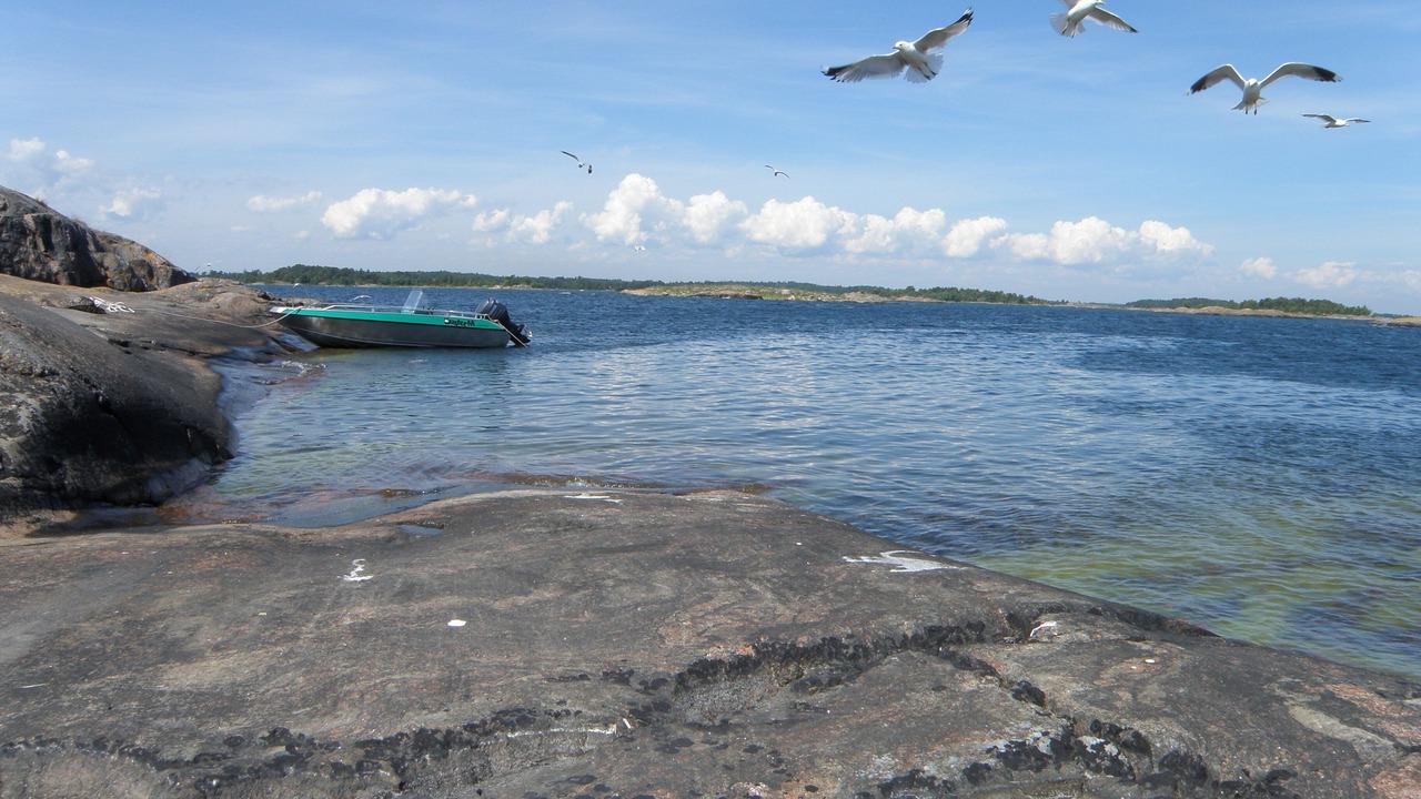 Photo of Others in Jonaker
