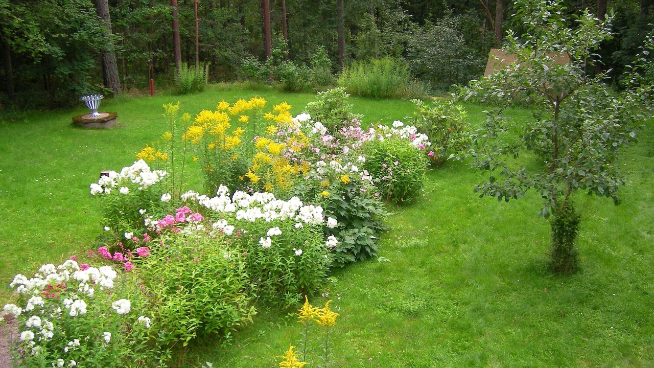 Photo of Outdoor in Vimmerby