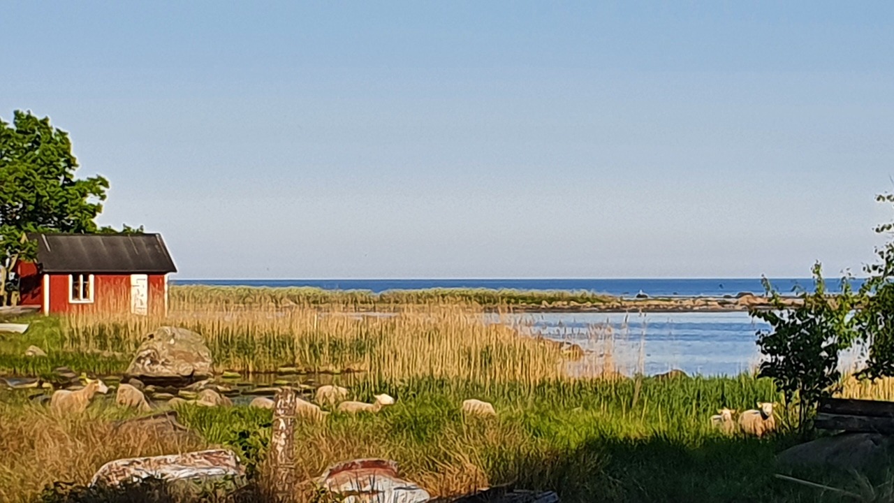 Photo of Outdoor in Sandhamn