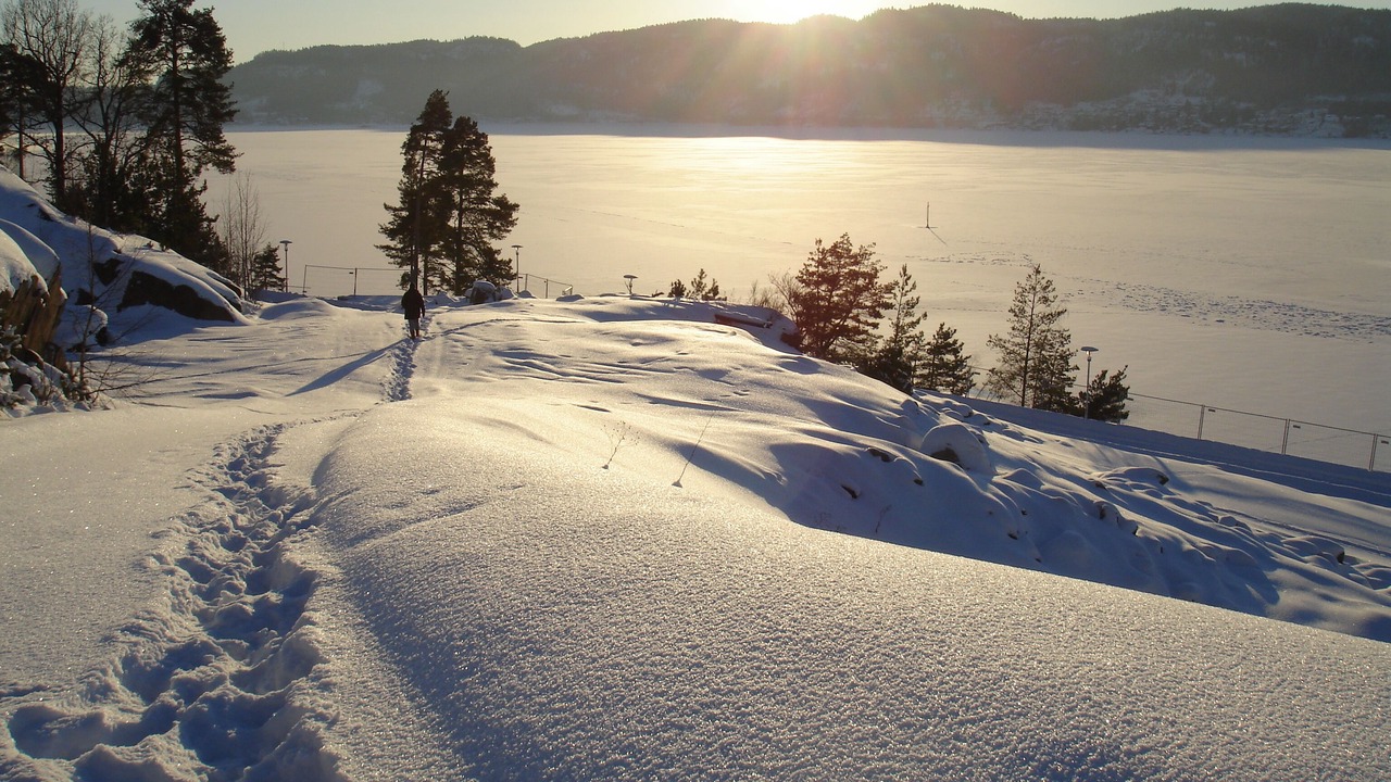 Photo of Others in Sande