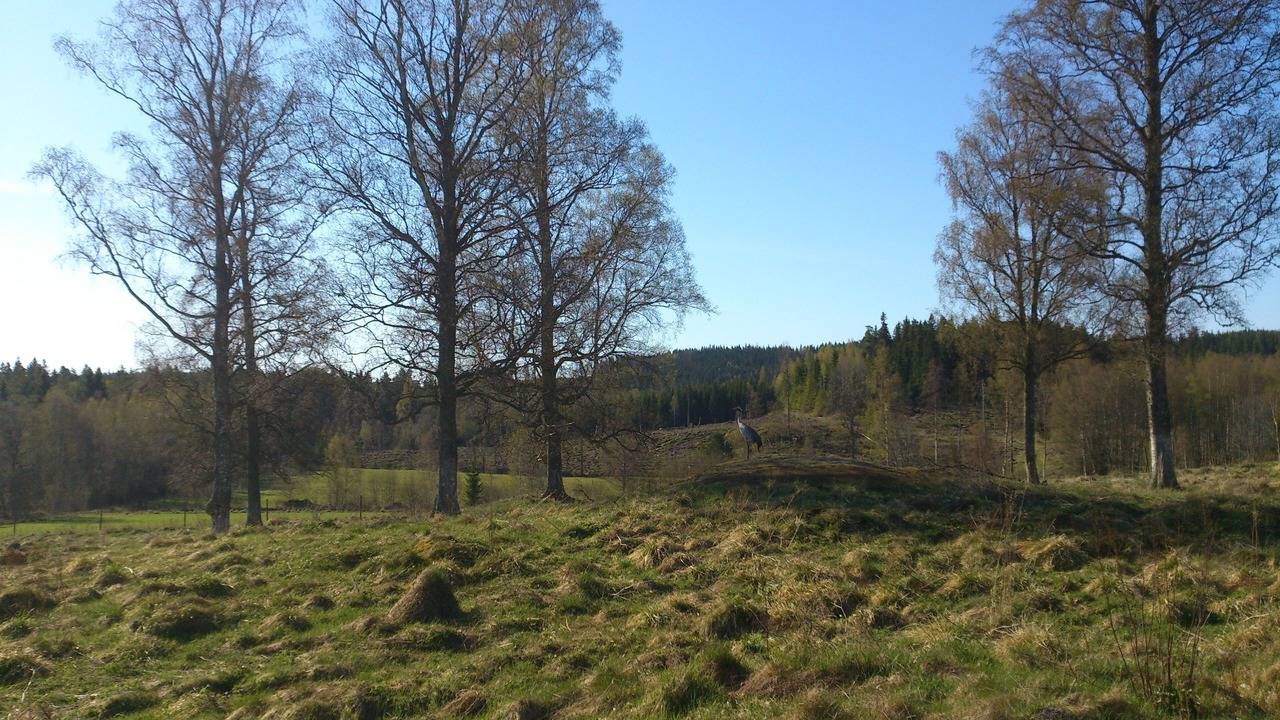 Photo of Outdoor in Ingatorp