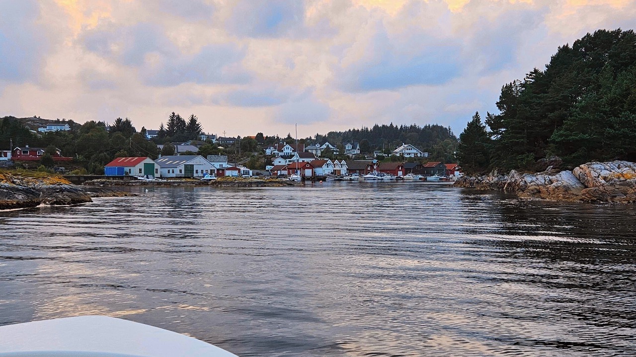 Photo of Others in Steinsland