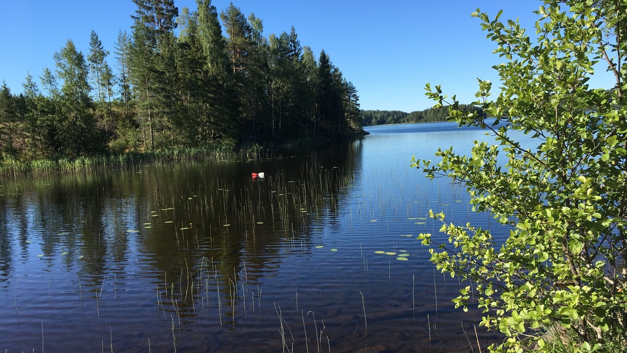 Photo of Outdoor in Skillingsfors
