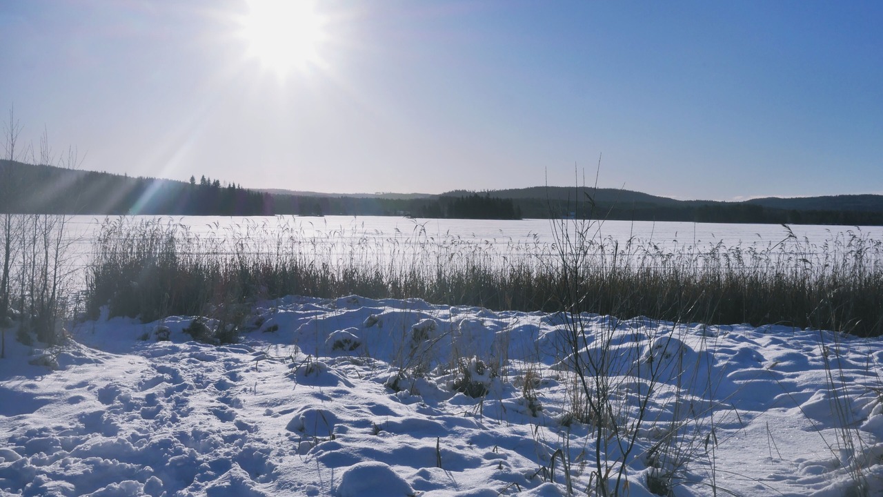 Photo of Others in Lysvik