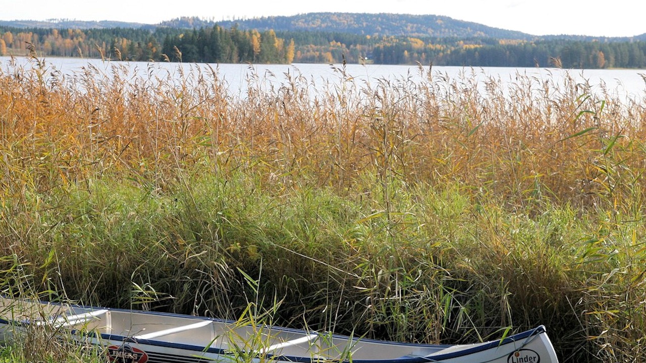 Photo of Outdoor in Lysvik