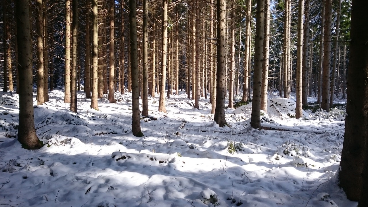 Photo of Others in Paryd