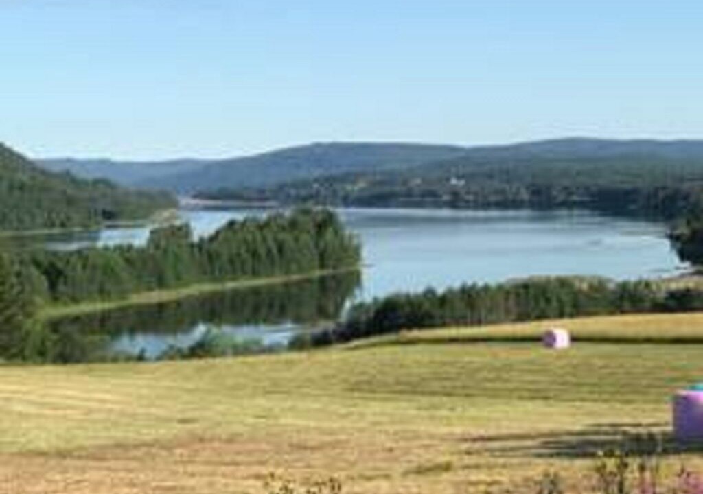Photo of Others in Nyland