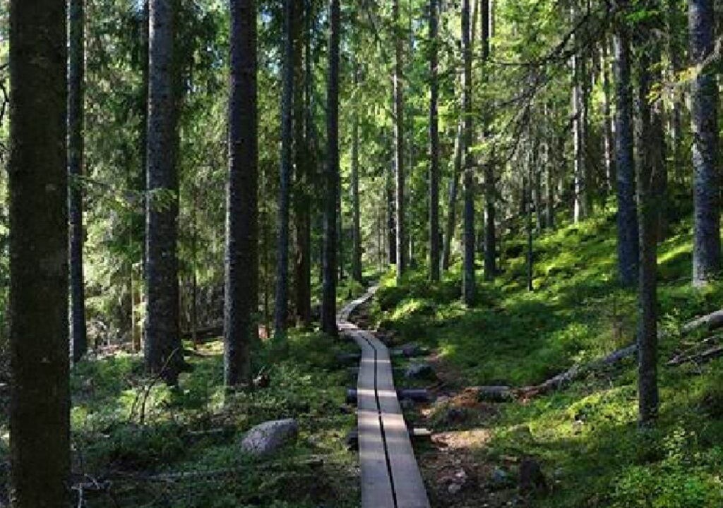 Photo of Outdoor in Nyland