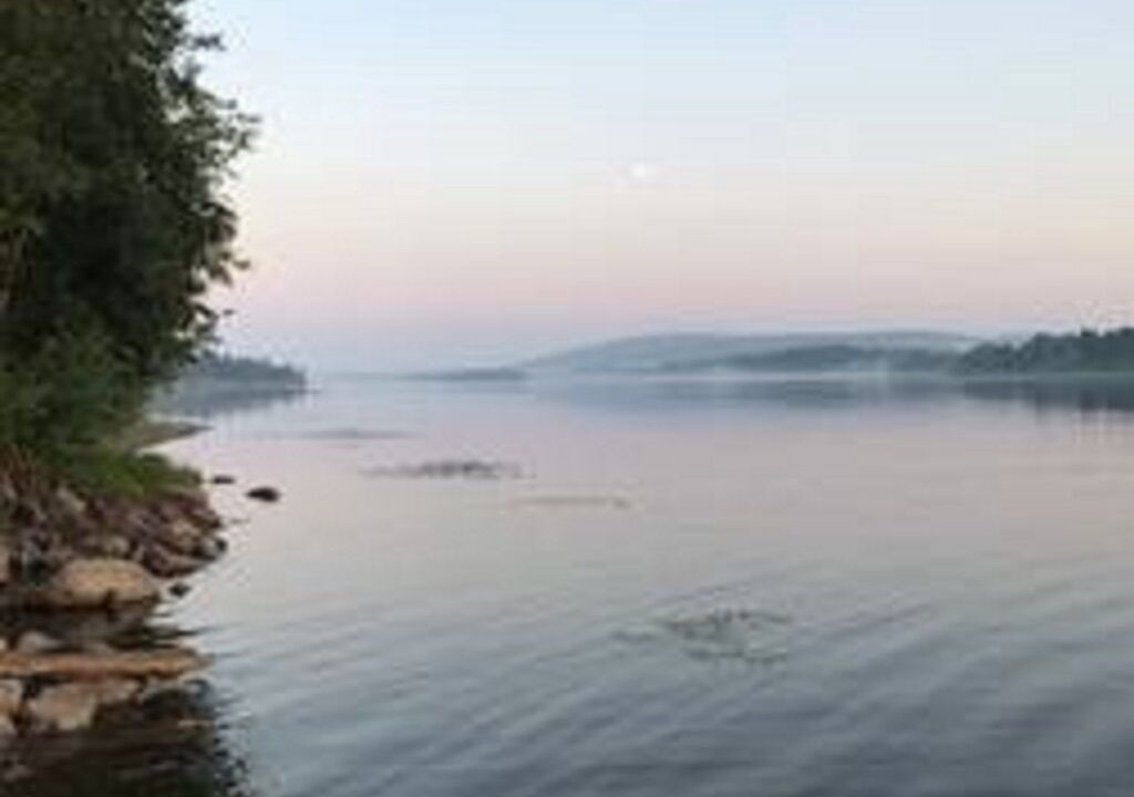 Photo of Others in Nyland