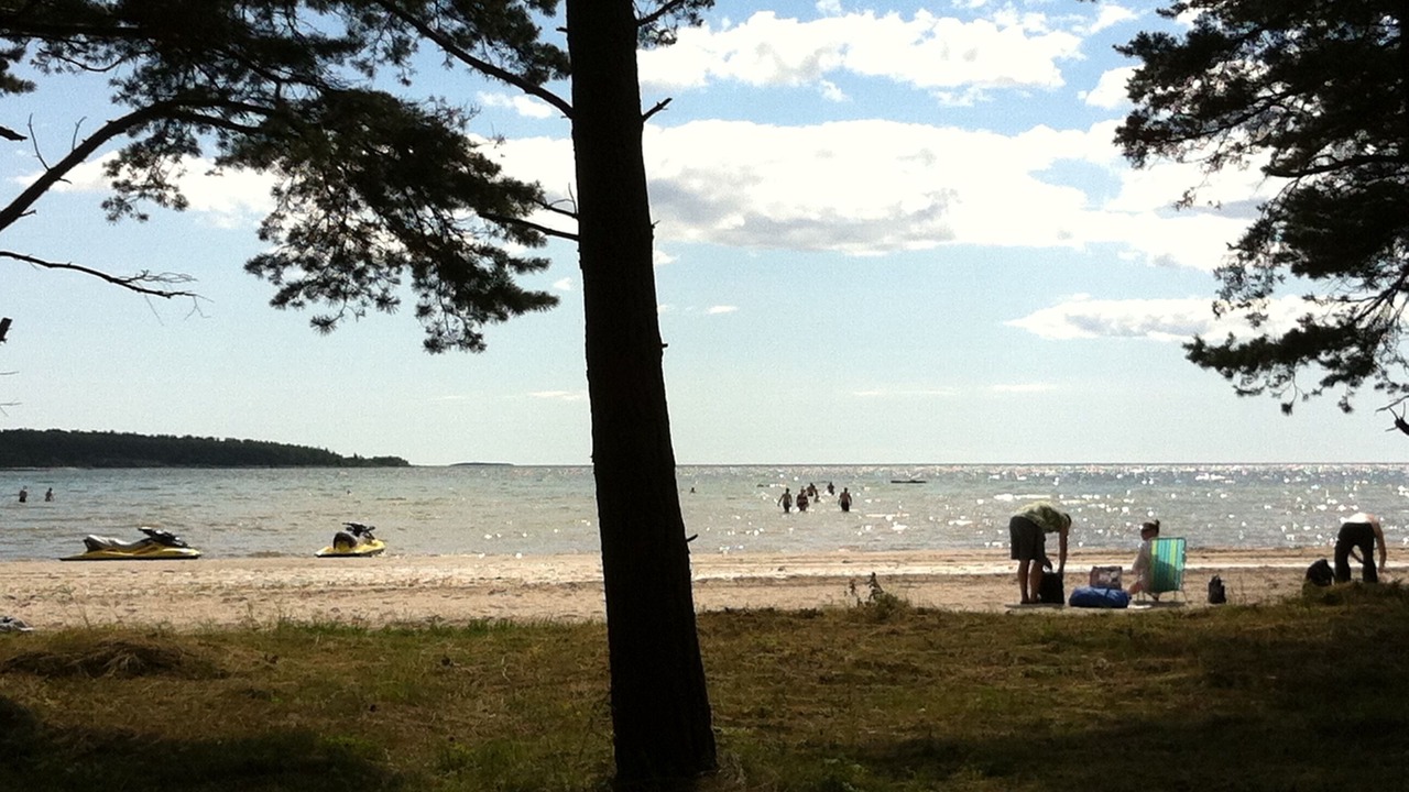 Photo of Others in Larbro