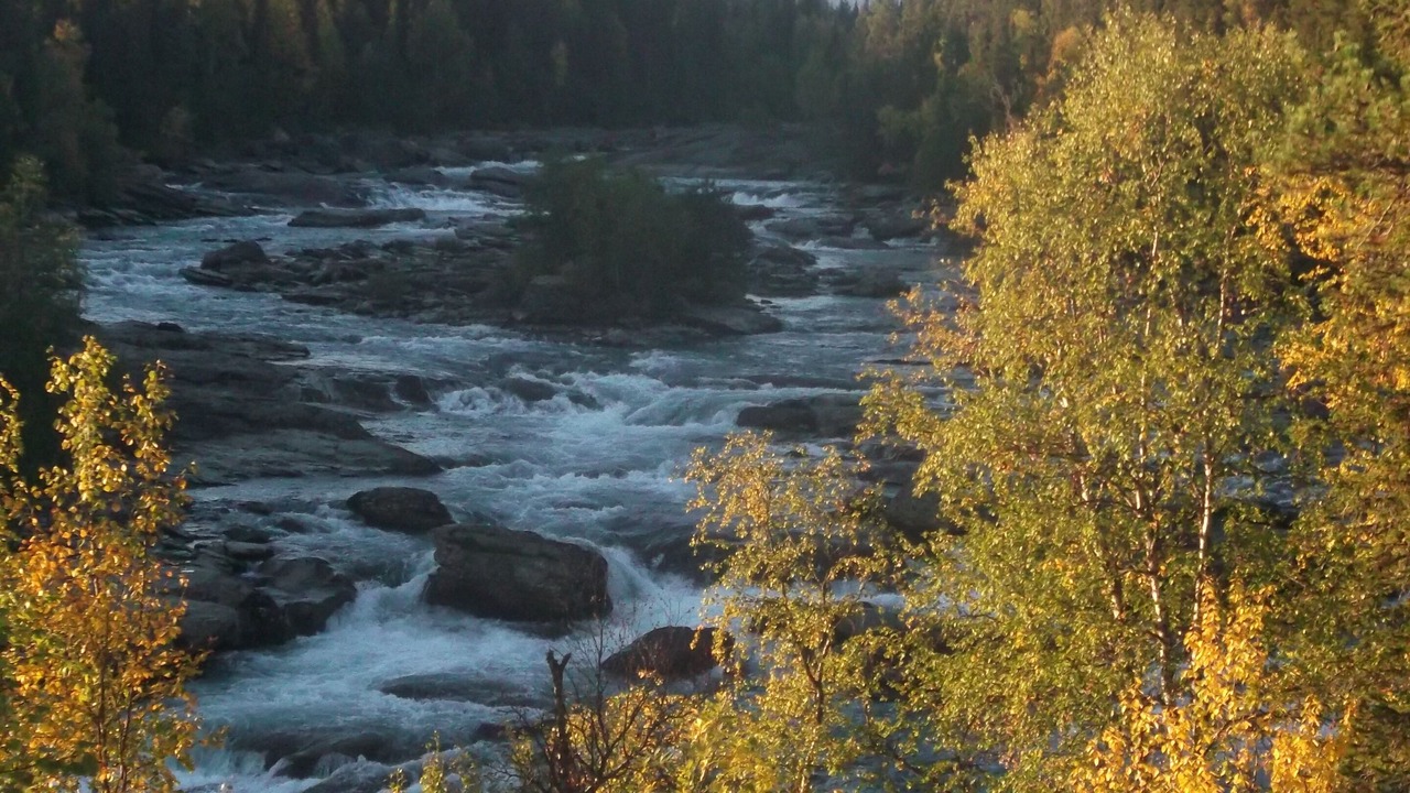 Photo of Others in Kvikkjokk