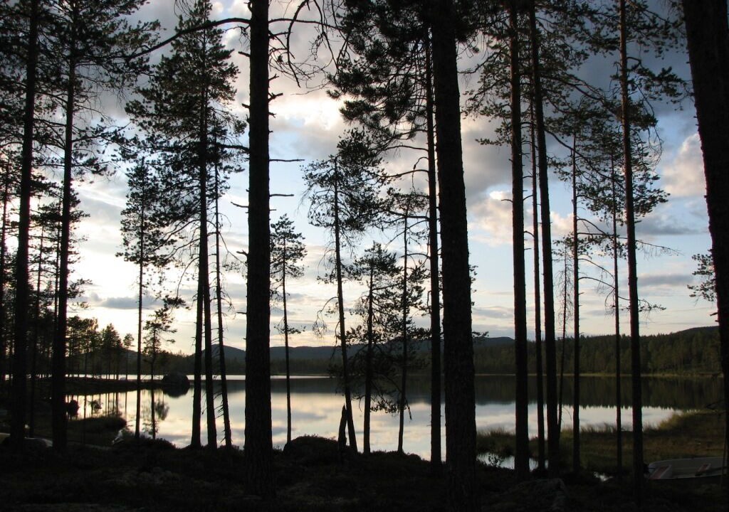 Photo of Outdoor in Syssleback