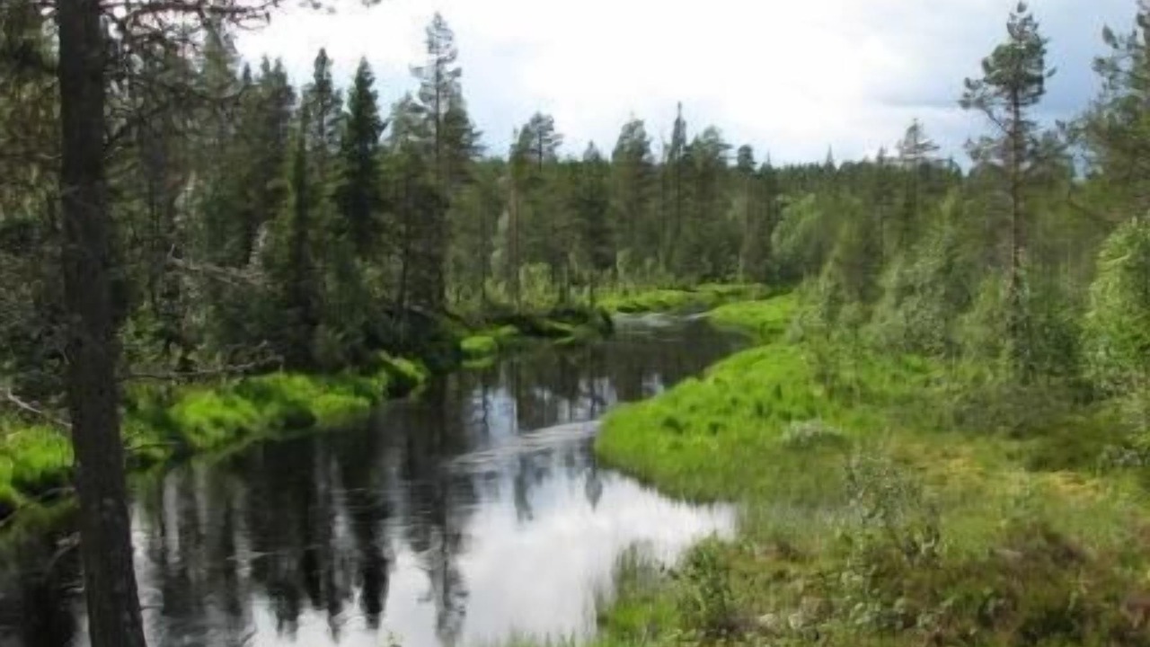 Photo of Others in Syssleback