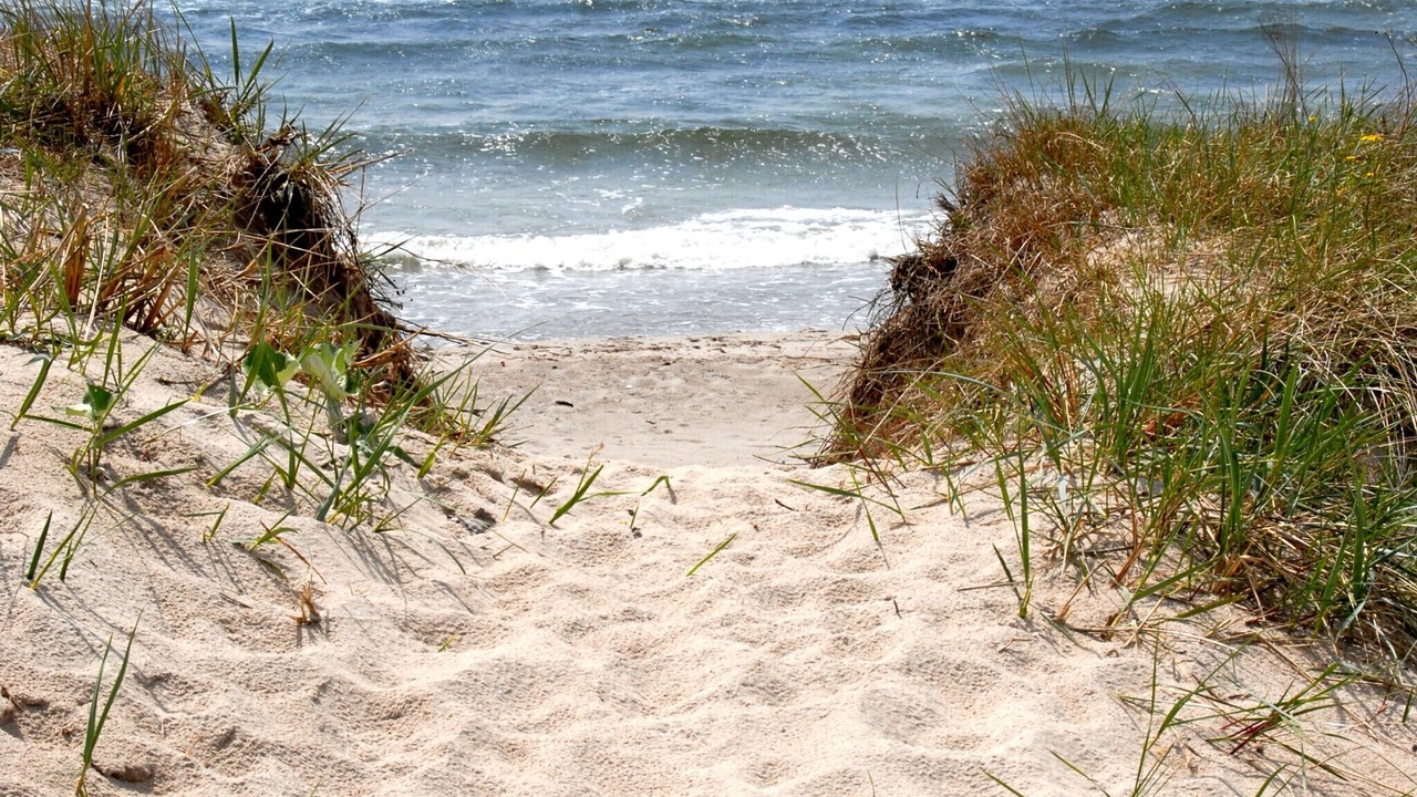 Photo of Others in Ystad