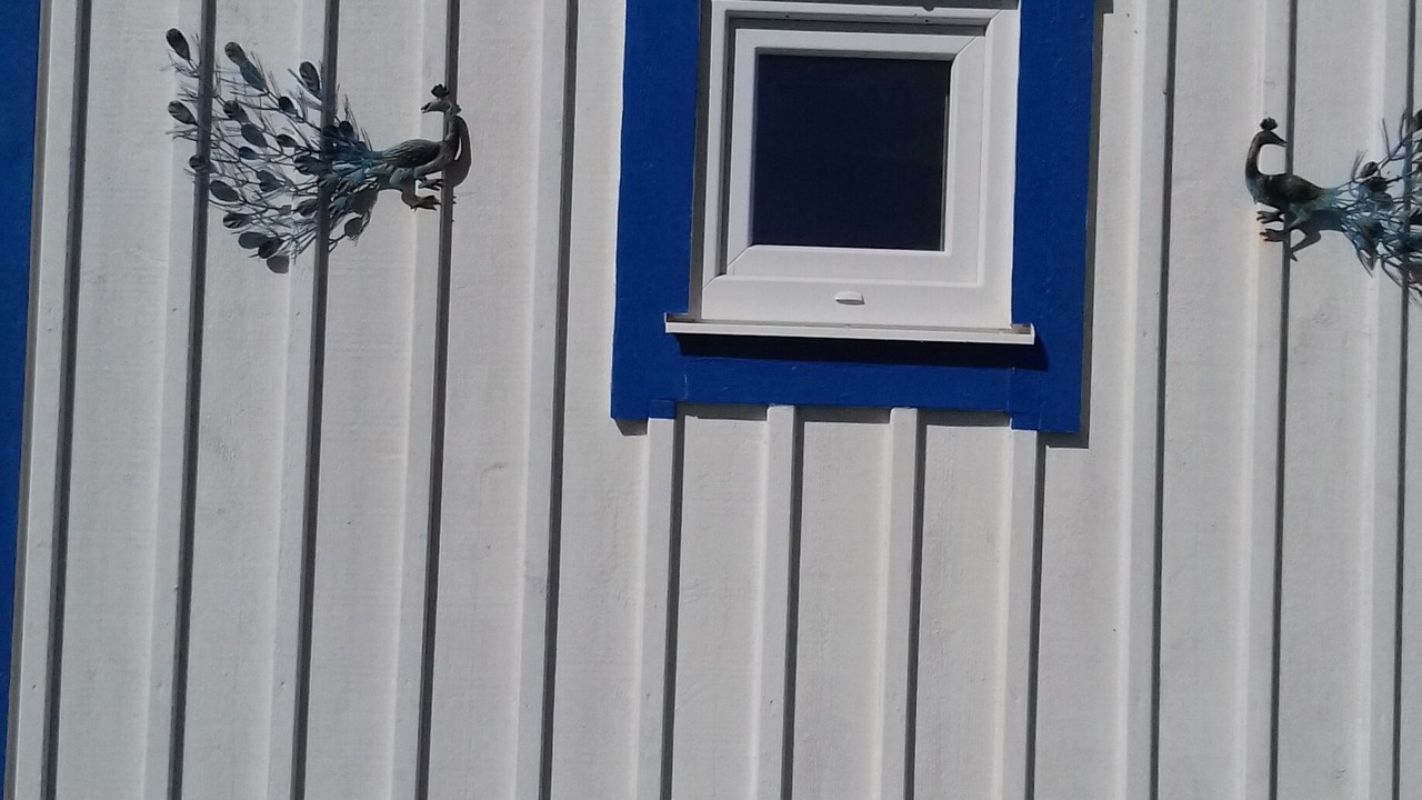 Photo of Outdoor in Falkenberg