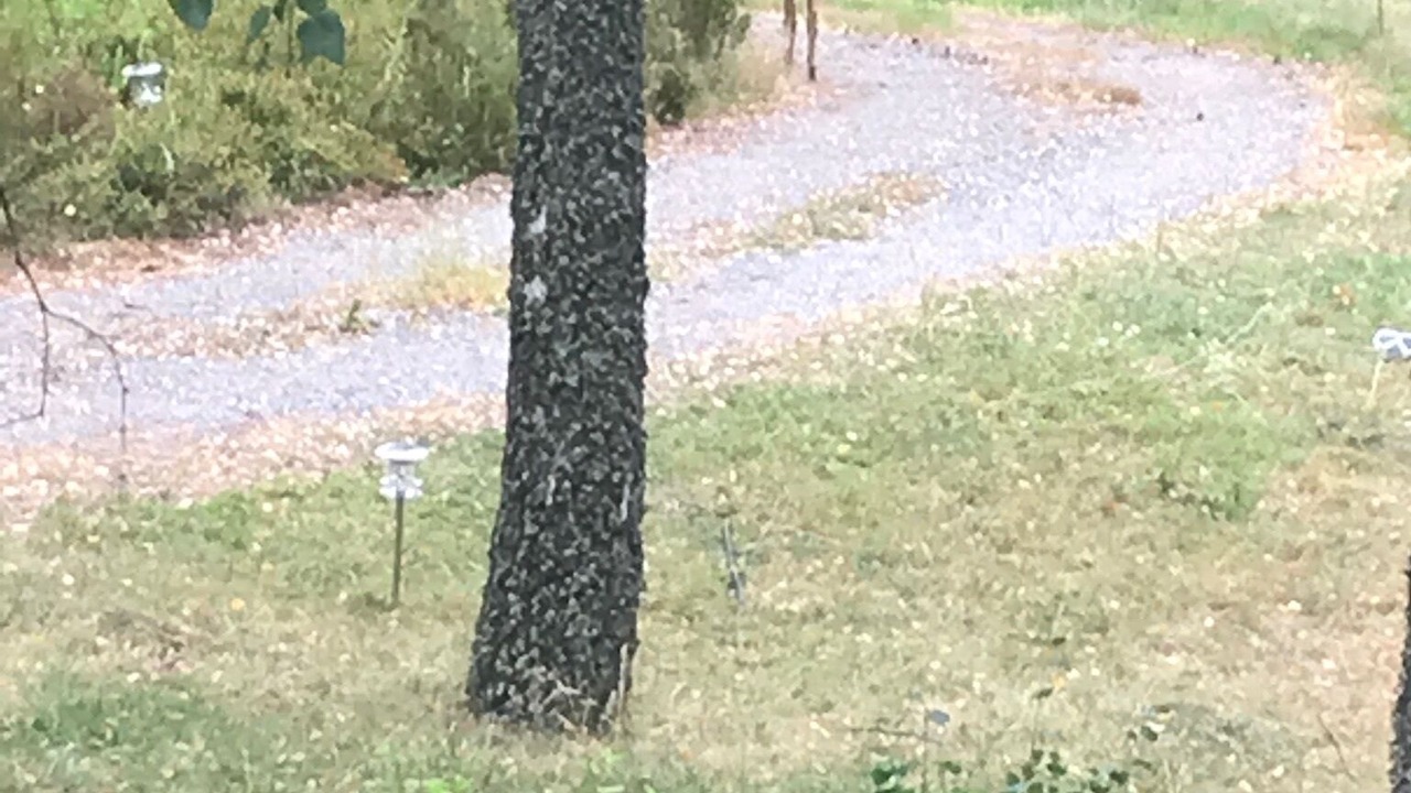 Photo of Outdoor in Saltsjobaden