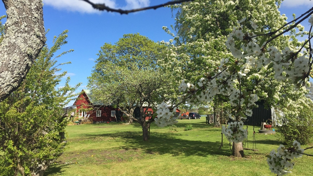 Photo of Outdoor in Dalhem