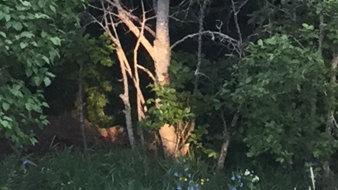 Photo of Outdoor in Froson