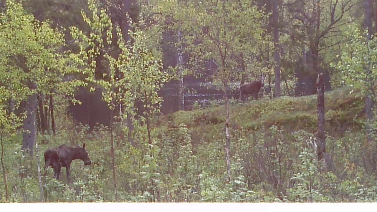 Photo of Others in Muberg