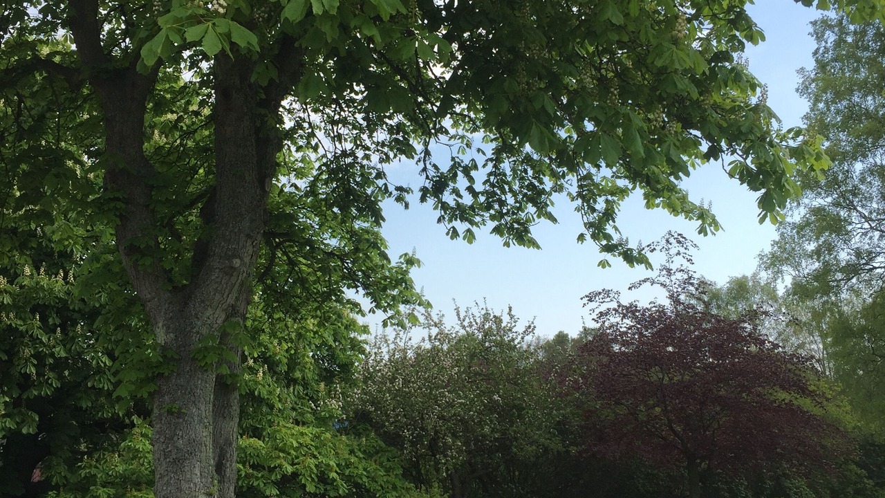 Photo of Outdoor in Loderup