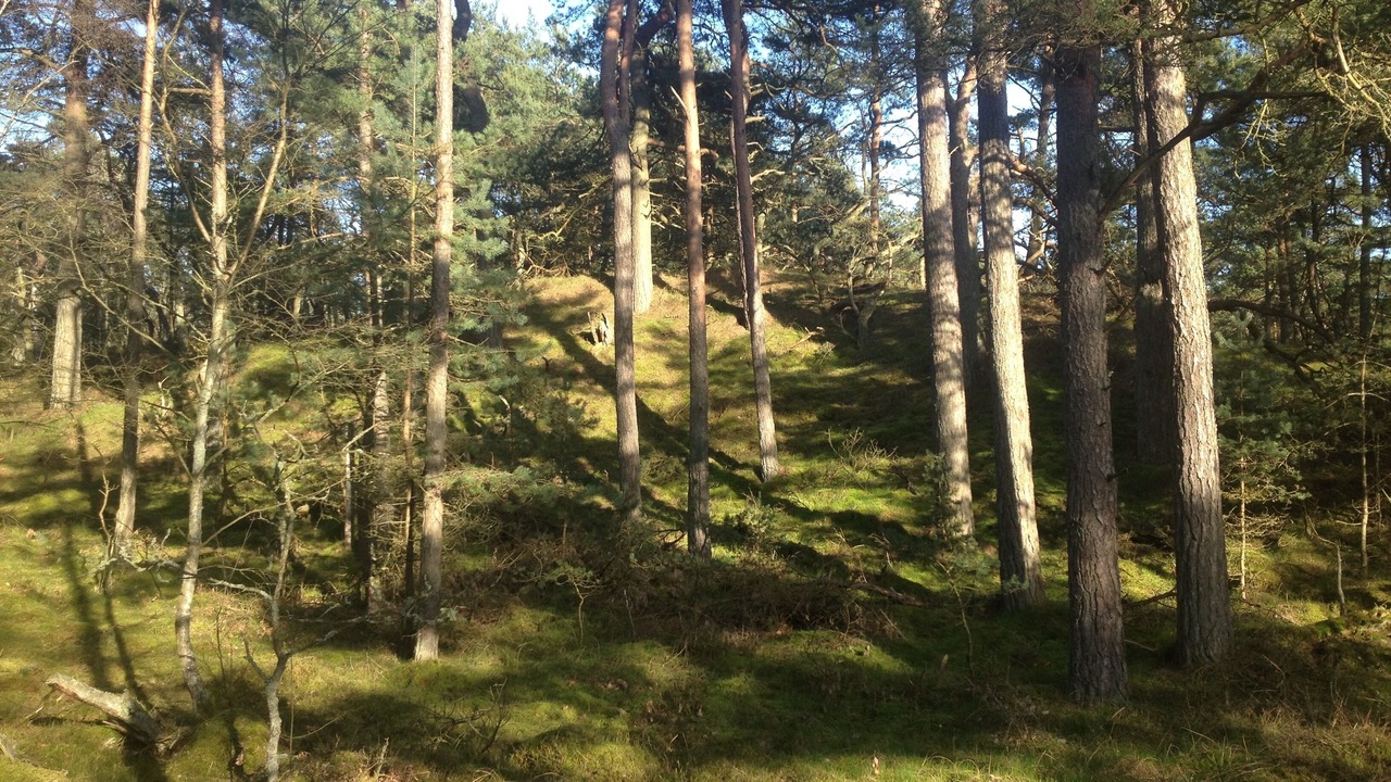 Photo of Outdoor in Loderup