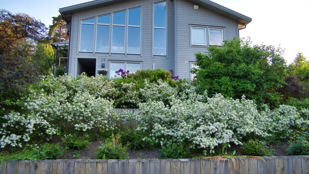 Photo of Others in Sigtuna