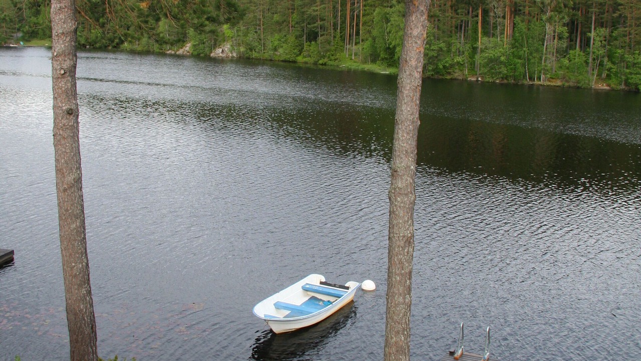 Photo of Outdoor in Asbro