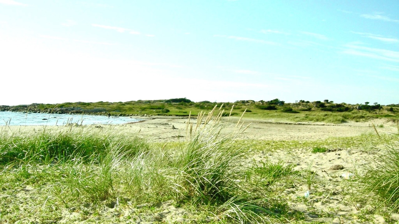 Photo of Others in Falkenberg