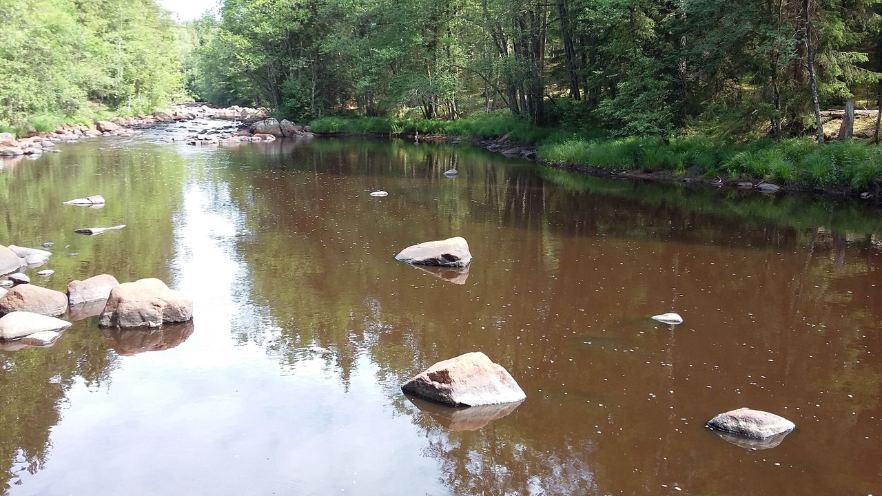 Photo of Outdoor in Bollaltsbygget