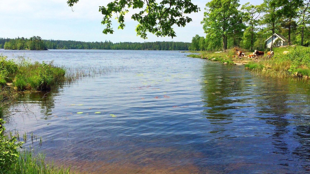 Photo of Outdoor in Urshult