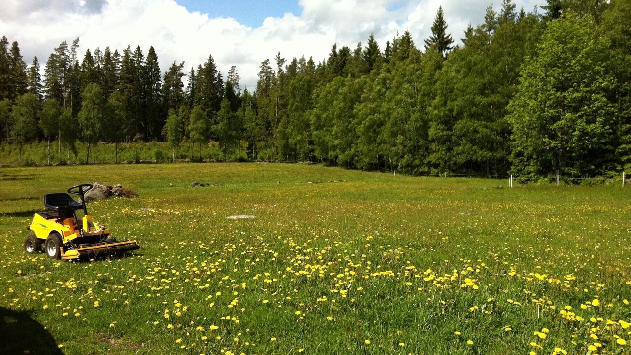 Photo of Others in Borgstena