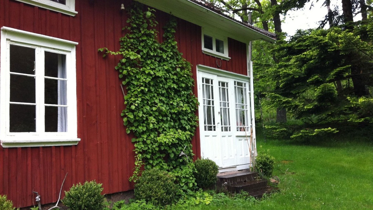 Photo of Outdoor in Borgstena