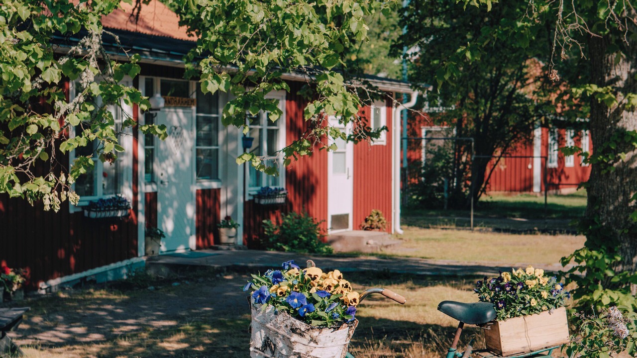 Photo of Outdoor in Hasselo