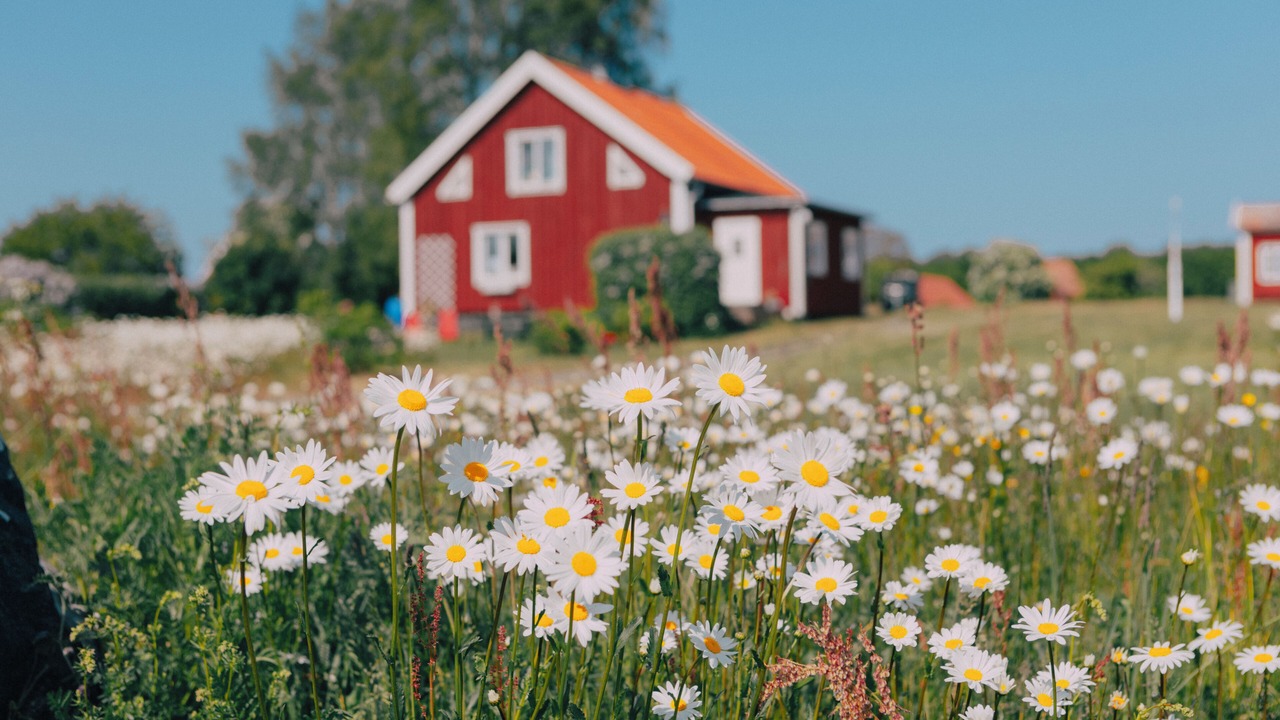 Photo of Outdoor in Hasselo