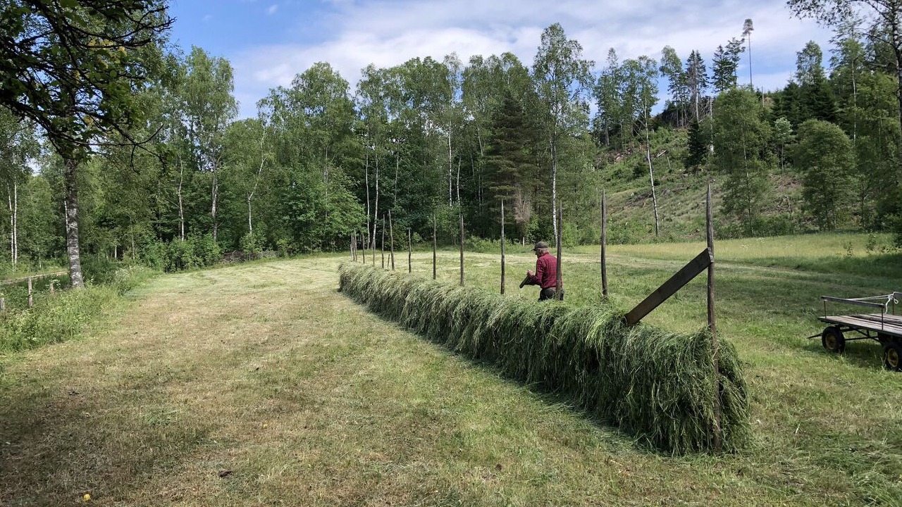 Photo of Outdoor in Ullared