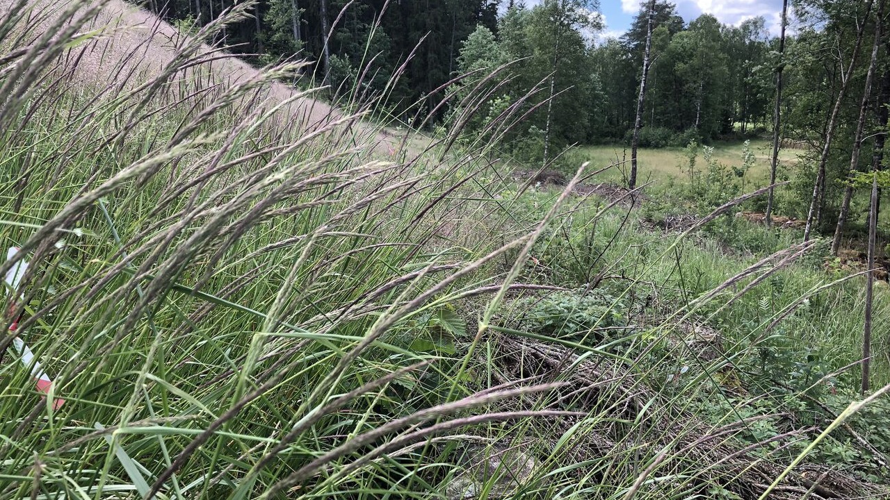 Photo of Outdoor in Ullared