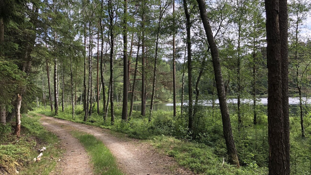 Photo of Outdoor in Ullared