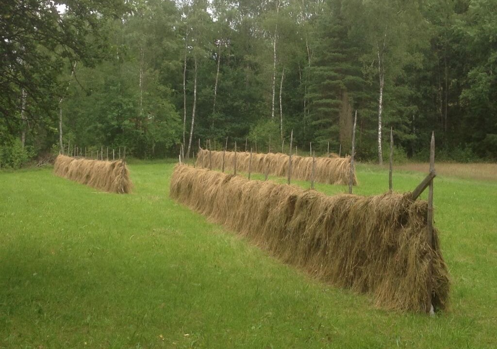 Photo of Others in Ullared