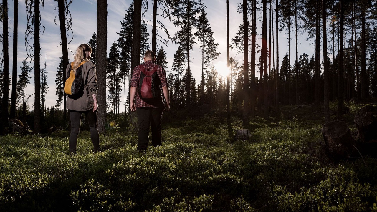 Photo of Outdoor in Alfta