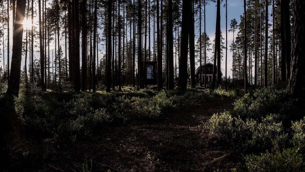 Photo of Outdoor in Alfta