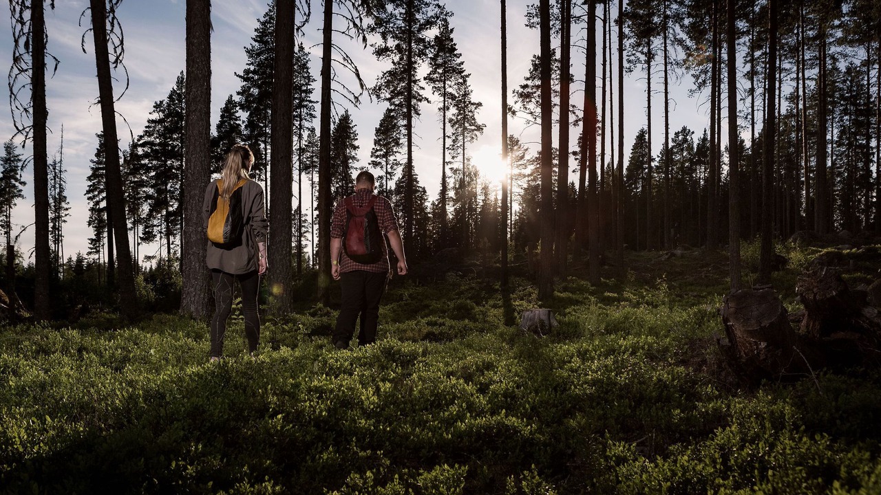 Photo of Outdoor in Alfta