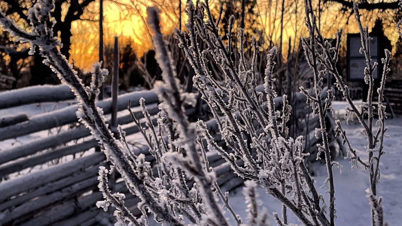 Photo of Outdoor in Rumskulla