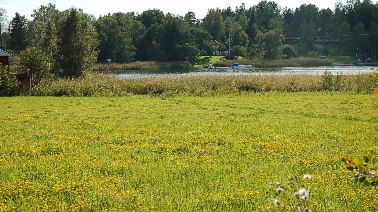 Photo of Others in Sodersvik