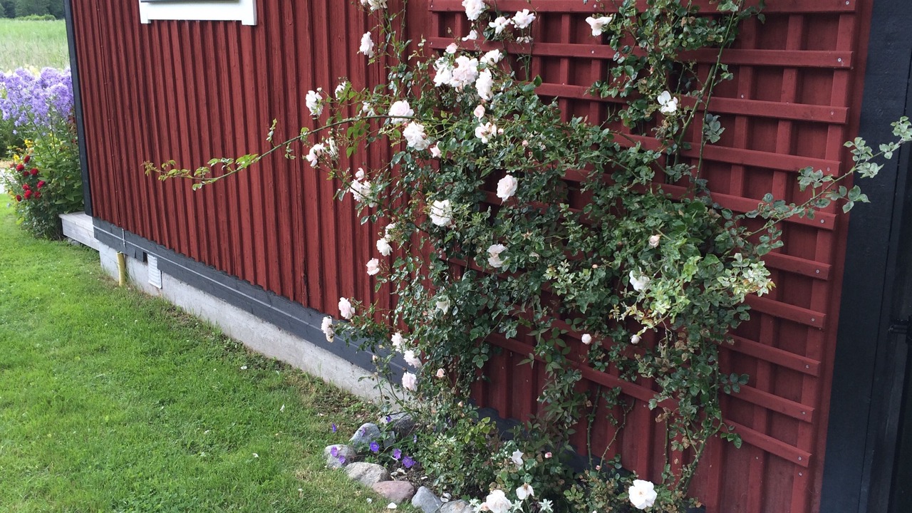 Photo of Outdoor in Sodersvik