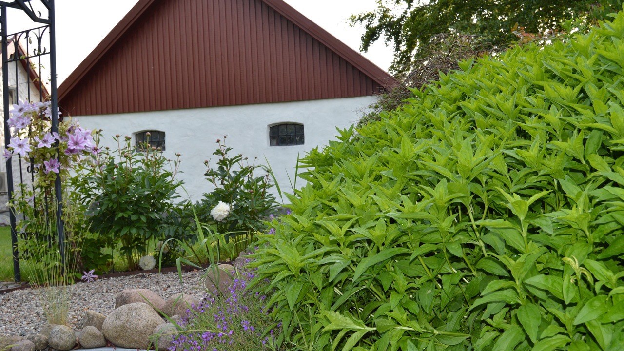 Photo of Outdoor in Skarby