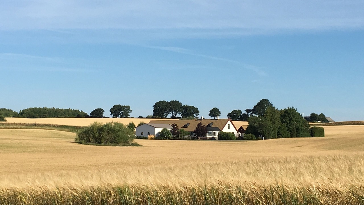 Photo of Others in Skarby