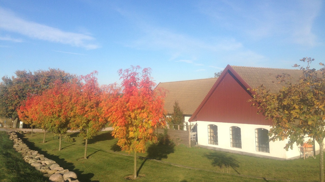 Photo of Outdoor in Skarby