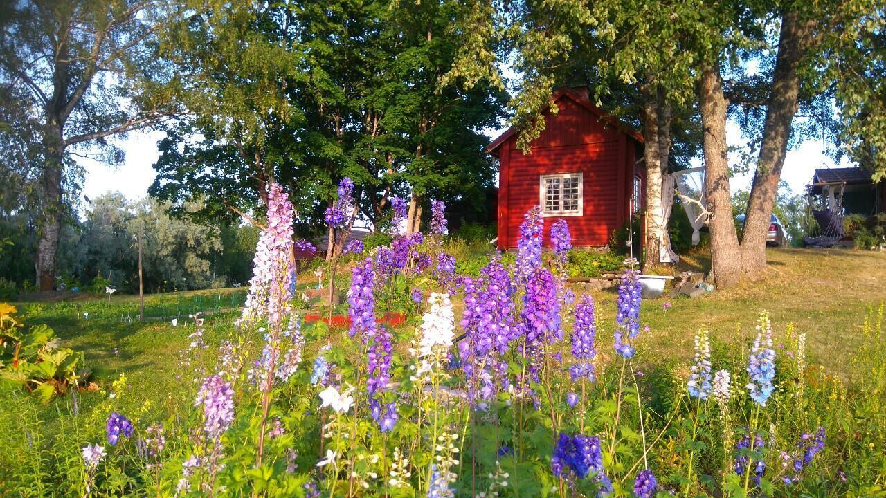 Photo of Outdoor in Soderbarke