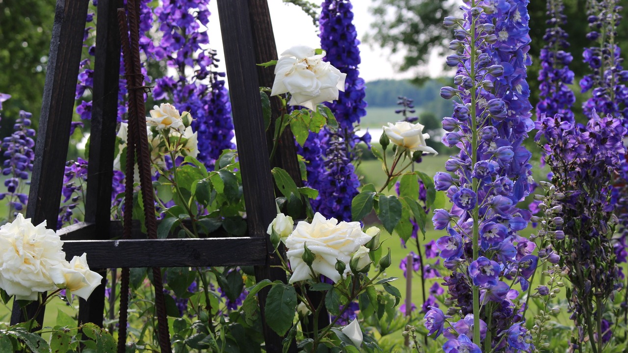 Photo of Outdoor in Orsundsbro